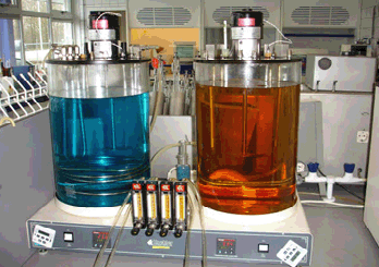 Transnational Blenders B.V.
